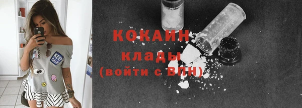 крисы Нея