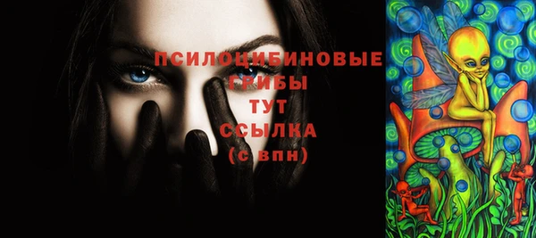 прущие грибы Нефтегорск