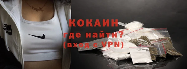 прущие грибы Нефтегорск