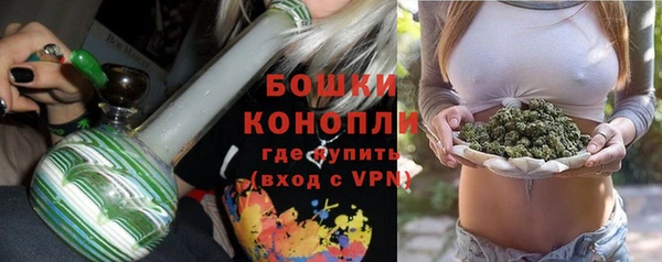 прущие грибы Нефтегорск