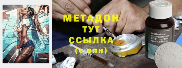 прущие грибы Нефтегорск
