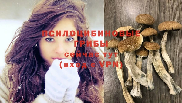 мяу мяу мука Белая Калитва